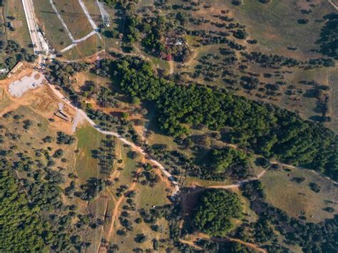 Premium Photo | Aerial Shot Above Forest and Nature