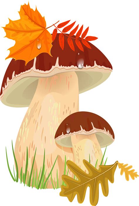 Transparent Toadstool Png - Fall Mushroom Clipart - Full Size Clipart ...