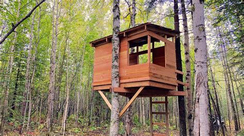 How To Build A Treehouse - See full list on wikihow.com - Oswiurmsvd