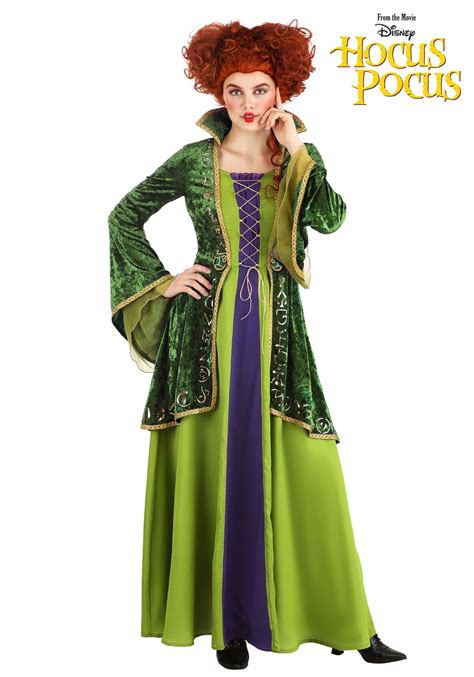 Adult Deluxe Disney Winifred Sanderson Costume