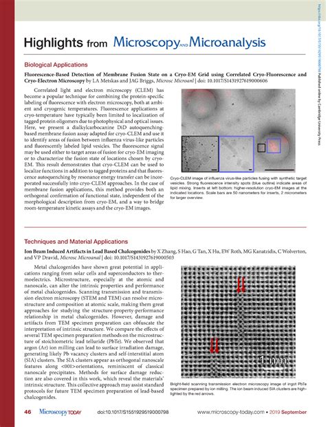 Microscopy and Microanalysis - 46 doi:10/S1551929519000798 microscopy ...