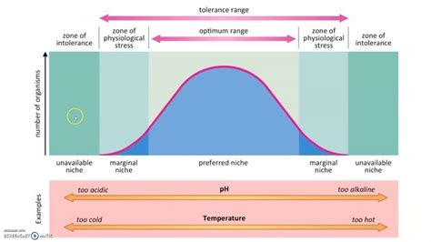 What Is Tolerance In Ecological Succession