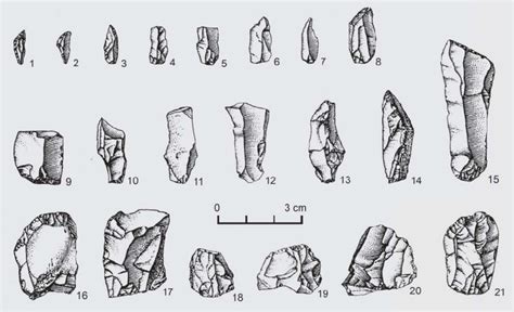 Mostová, Trnavský kraj (SK). Mesolithic stone tools: backed segments (1 ...