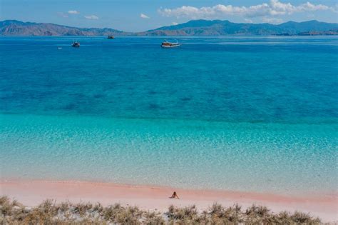 Pink Beach Komodo Island, Indonesia - Visitor's Guide (2024)