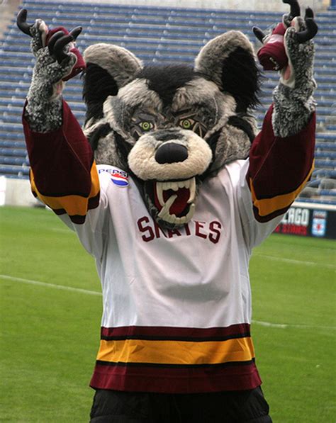 AHL mascots | Local | poststar.com