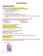 LVN Scope of Practice Essay.pdf | Course Hero