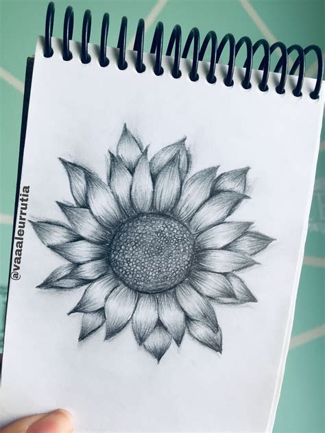 Total 74+ imagen lapiz girasol dibujo - Abzlocal.mx