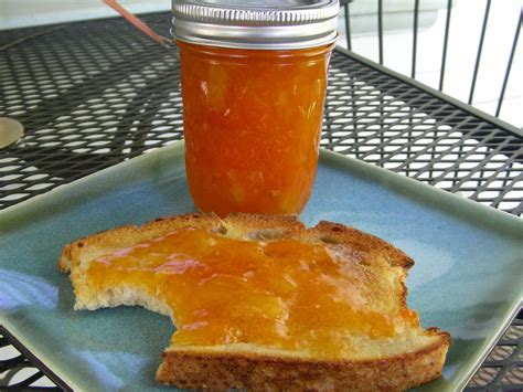 Susan Can Cook: Apricot and Pineapple Jam