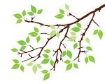 Spring Tree Branch Clipart | Clipart Panda - Free Clipart Images