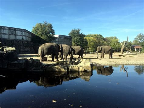 Tierpark Berlin discover and enjoy - JUMP Berlin