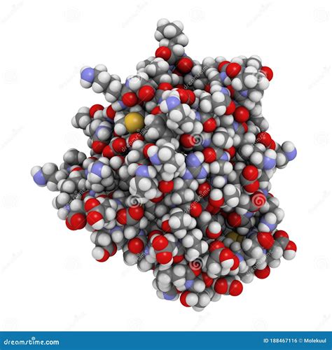 Bovine Beta-lactoglobulin Protein, 3D Structure. Major Whey Prot Stock ...