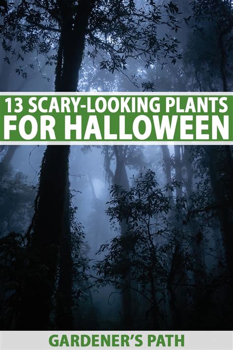 13 of the Best Scary-Looking Plants for Your Garden | Gardener’s Path