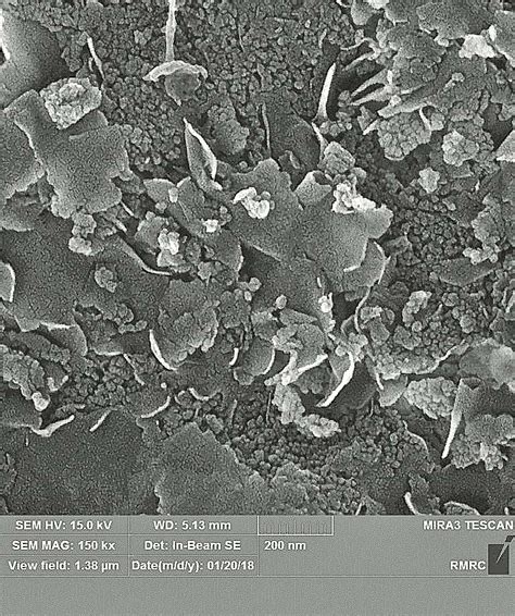 Catalysts Regeneration and Synthesis Systems – TPFS Industrial Group