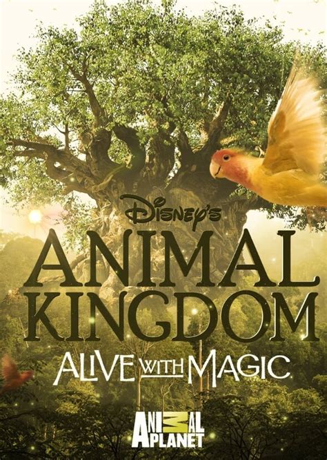 Animal Kingdom (TV Series) Fan Casting on myCast