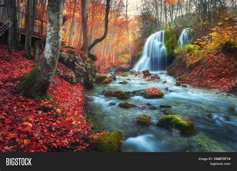 Autumn Forest Image & Photo (Free Trial) | Bigstock