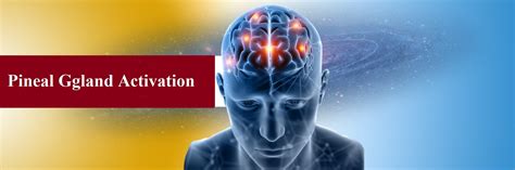 PINEAL GLAND ACTIVATION – AMBITIOUS MIND ACADEMY