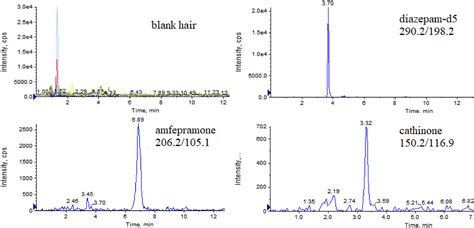 Detection of amfepramone and its metabolite cathinone in human hair: Application to a uthentic ...