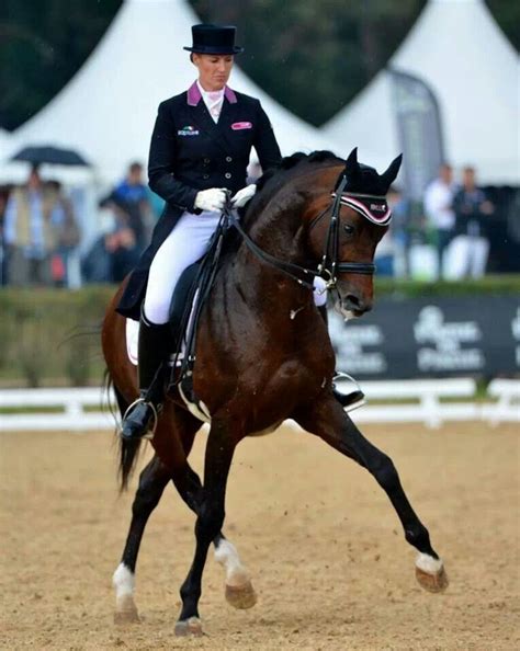 Dressage | Dressage horses, Eventing horses, Equestrian dressage