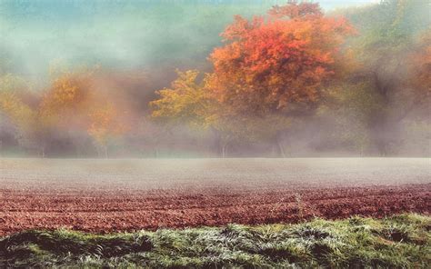 nature, Landscape, Frost, Field, Grass, Trees, Mist, Fall, Hill, Sunrise, Austria, Cold ...