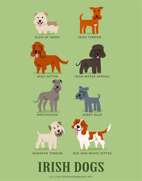 The Origins Of 200 Dog Breeds Explained In Adorable Posters | DeMilked