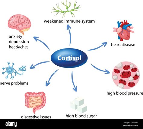 Human Body Immune System Illustration Stock Photos & Human Body Immune System Illustration Stock ...