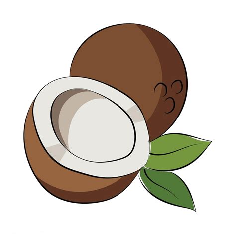 Vector Coconut Clipart | Coconut vector, Clip art, Funny coconut