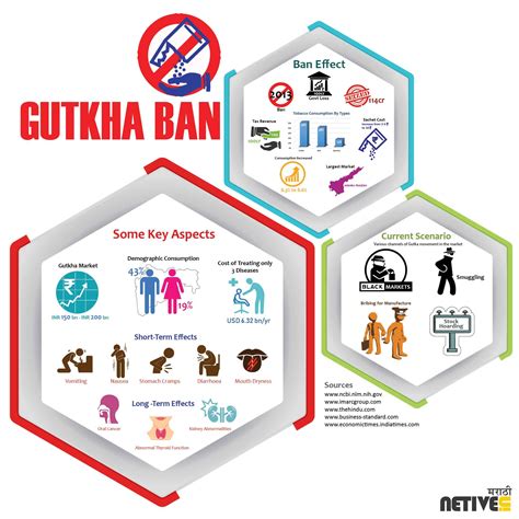 INFOGRAPHIC: GUTKA BAN and the current scenario | by Netive News Portal ...