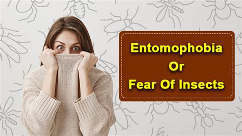 Entomophobia Or Fear Of Insects: Causes, Symptoms, Risk Factors And ...