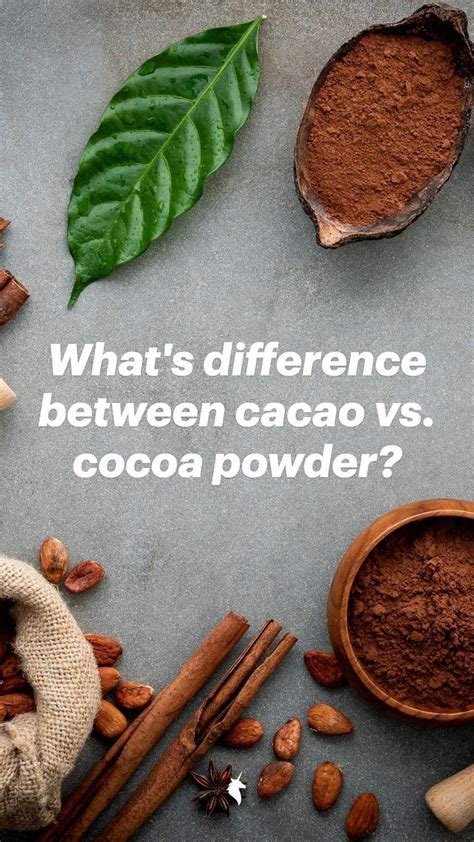 What's difference between cacao vs. cocoa powder? | Nutrition, Cocoa ...