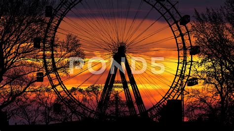 Ferris Wheel Silhouette