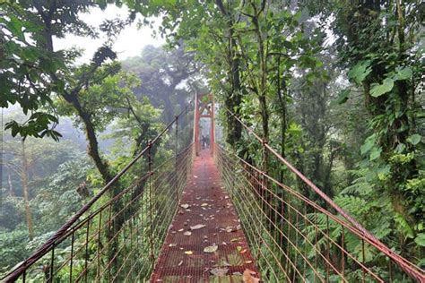 5 Best Things to Do at Monteverde Cloud Forest Reserve