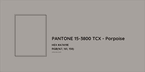 PANTONE 15-3800 TCX - Porpoise Complementary or Opposite Color Name and Code (#A7A19E) - colorxs.com