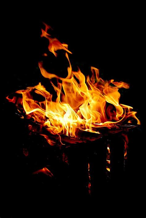 Fire flaming stock photo. Image of beauty, flaming, naturial - 20606928