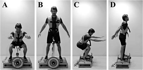 Frontiers | Early Functional and Morphological Muscle Adaptations During Short-Term Inertial ...