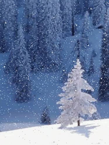 Winter Wonderland Snow GIF - Winter Wonderland Snow Winter - Discover & Share GIFs