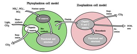 Keeping Things the Same | MIT Darwin Project