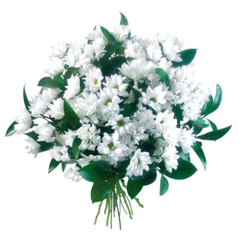 Condolences flowers - order here - same day delivery