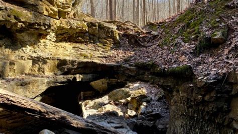 11 Best Caves in Indiana You can Explore [Update 2023]