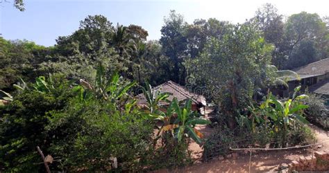 Traditional Village Houses in Konkan Area Editorial Stock Image - Image ...