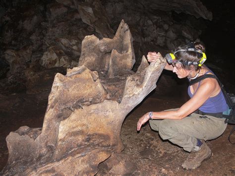 How Bat Breath and Guano Can Change the Shapes of Caves - Eos