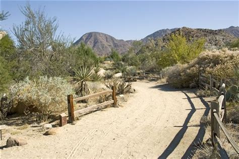 The Living Desert Zoo and Gardens Reopens as an "outdoor recreation ...