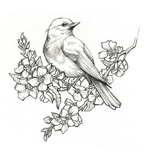 painting + girls + apple blossoms + picking flowers - Google Search | Pencil drawings of flowers ...
