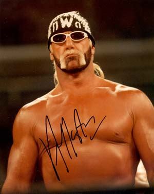 Hollywood Hulk Hogan WCW Wrestling Slam Page