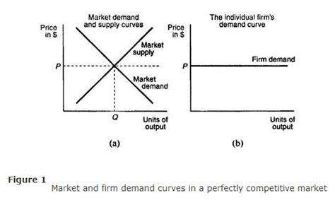 Demand in a Perfectly Competitive Market