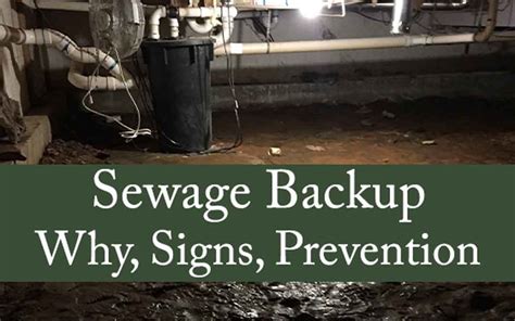 Sewage Backup: Why, Signs, & Prevention - Rocky Mountain Restoration