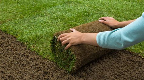 How Much Does Grass Sod Cost - Prices & Installation