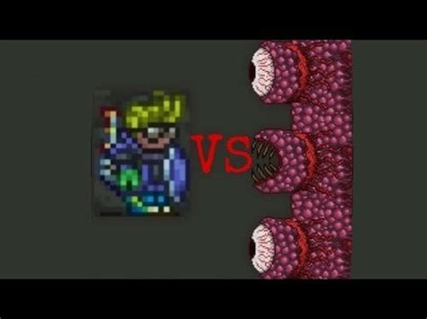 Defeated legendary wall of flesh as a summoner! : r/Terraria