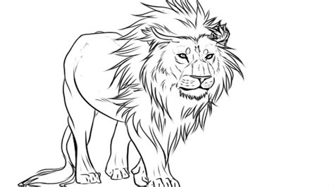 Lion Drawing Pictures For Kids