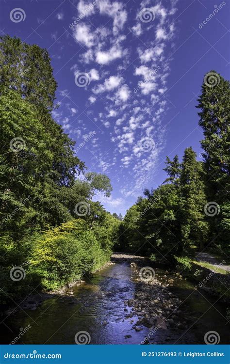 River Tawe Waterfall Royalty-Free Stock Photography | CartoonDealer.com ...