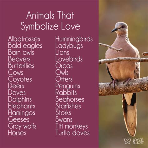 The Symbolism of Animals in Representing Loyalty – Nature Blog Network